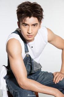 娱乐爆料张云龙视频,娱乐爆料引网友热议